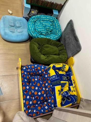 拉拉免費接送寵物寄宿 - 