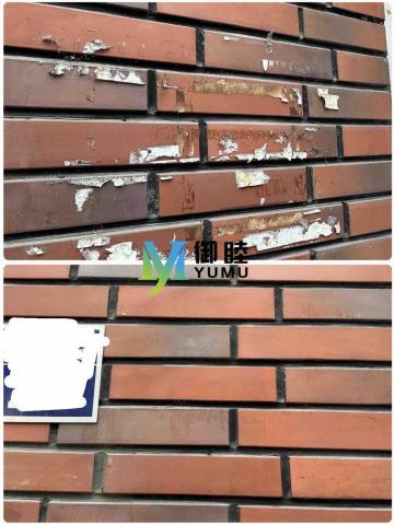 御睦清潔（大樓清潔、裝潢後清潔） - 廣告單除膠清潔