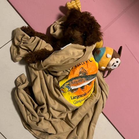 提供照片似顏繪app服務的專家碧昂虱