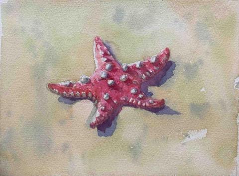 Jasmine老師 - 水彩