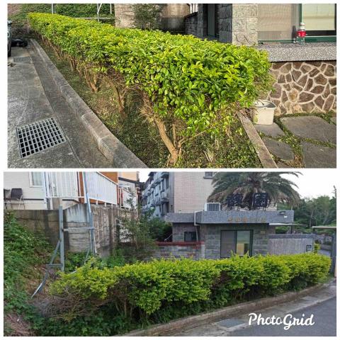 除草特攻隊 - 灌木叢修剪