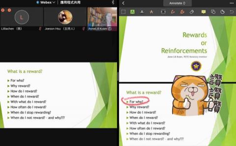 好棒寵物到府服務｜犬行為諮詢・IDTE認證・正向訓練 - 專心上課中