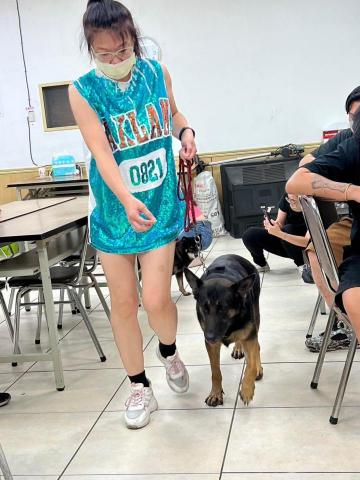 提供遛狗牽繩服務的專家狗兒散步