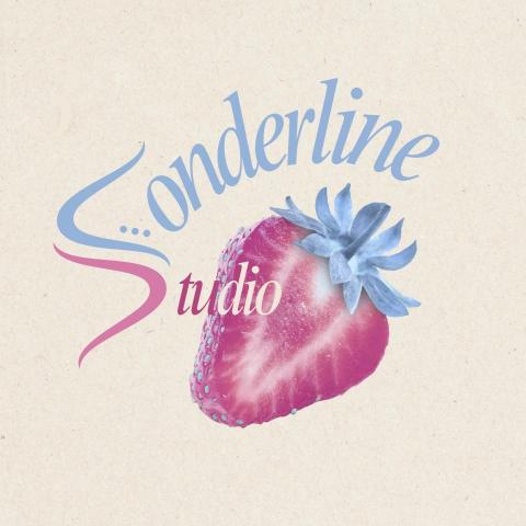 提供canva版權服務的專家3Sonderline Studio