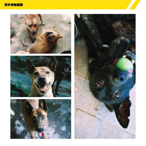 jerry - 底片相機攝影