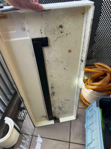 極度速冷冷凍空調工程 - 大金吊隱水盤