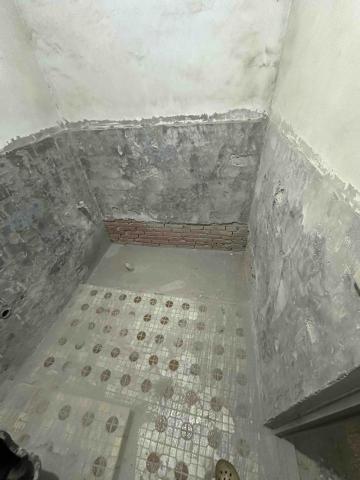 拆除王 - 廁所拆除