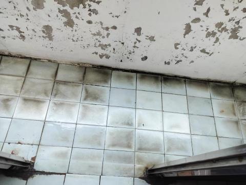 詹蕖菖 - 清潔後