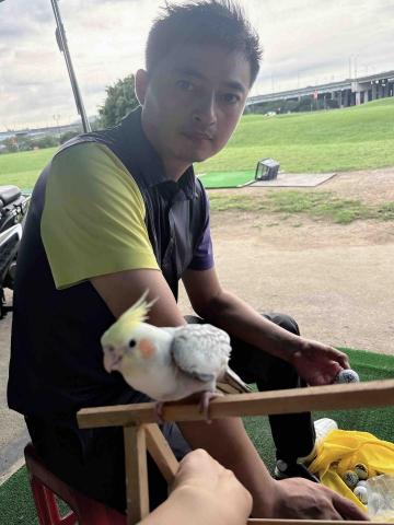 提供高爾夫服務的專家尹兵兵