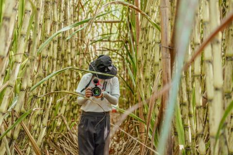 何佩儀 - 地方影像｜平面攝影｜動態攝影