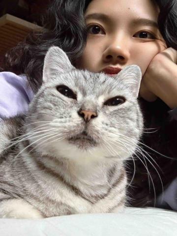 提供一頁式廣告怎麼做服務的專家Lui Lui