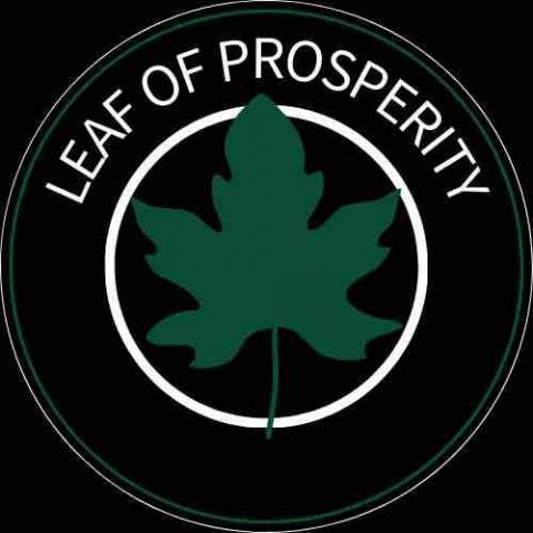 提供capcut卡點服務的專家上坡葉有限公司