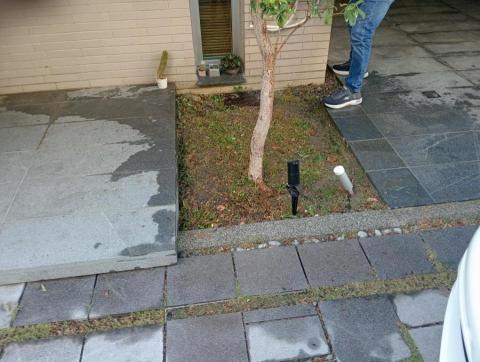 王東明 - 花圃雜草拔除 王東明 - 花圃雜草拔除