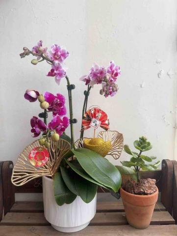 Beautiful Times. / 美好時光 - 