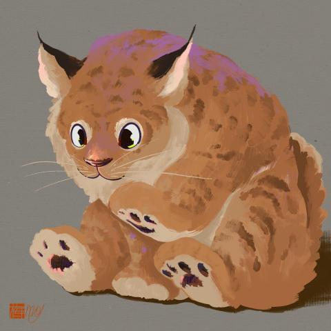 林佳萱 - 寵物插畫合作