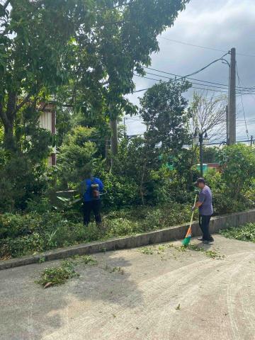 🪽森羽園藝 - 灌木修剪及環境整理清潔