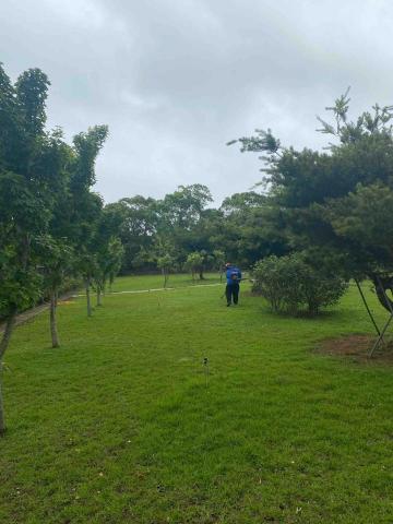 🪽森羽園藝 - 莊園除草