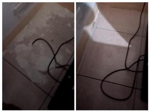 卉安居家清潔坊 - 