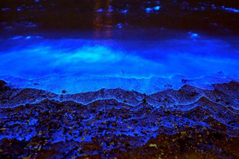 無痕打字 - 無情藍眼淚