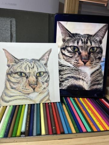 麋塔個人工作室 - 寵物似顏繪、色鉛筆畫，作品含框、精美包裝