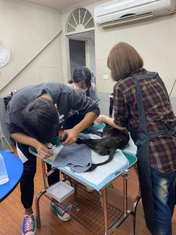 草地跑寵物美容 - 