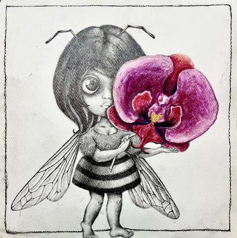 Yoko Kao - 昆蟲花卉設計插畫