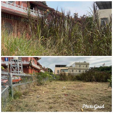 除草特攻隊 - 大坪數整理