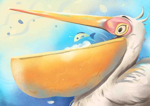 李采穎 - 快樂鵜鶘！