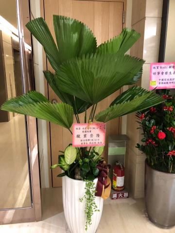 羅馬門花藝設計 - 