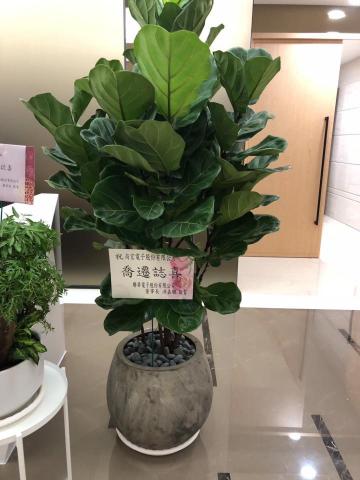 羅馬門花藝設計 - 