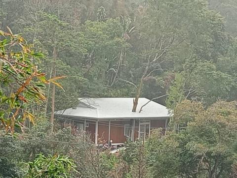 楊先生 - 造型屋頂