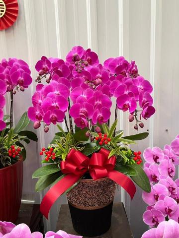 羅馬門花藝設計 - 