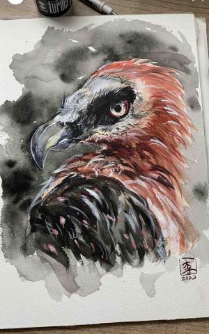 李采穎 - 動物水彩
