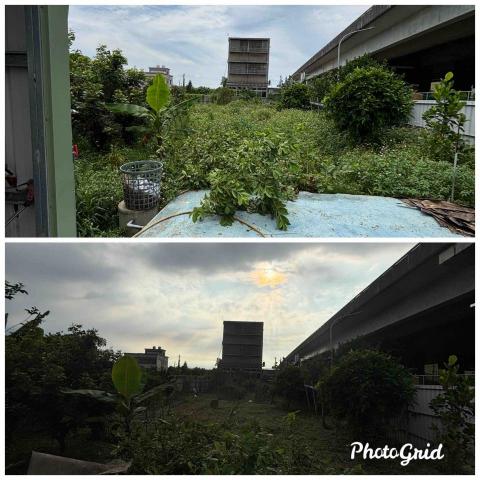 除草特攻隊 - 大坪數整理