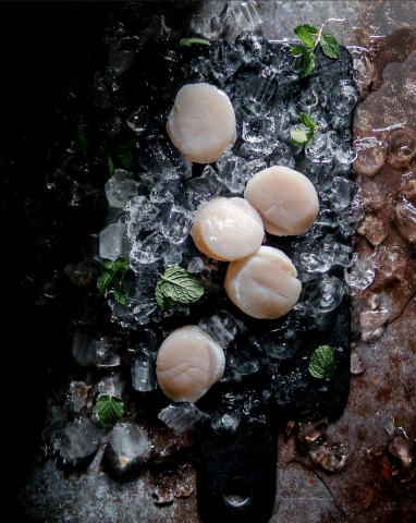 編想設計 - 食材合作拍攝合作