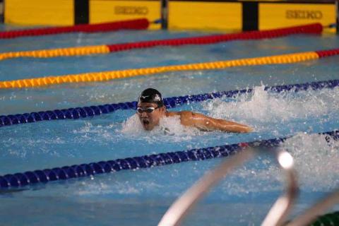 提供游泳選手服務的專家溢麟/專業游泳教學/成人小孩皆可