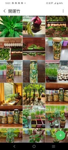 地球家園國際顧問股份有限公司 - 陽宅木生水部署