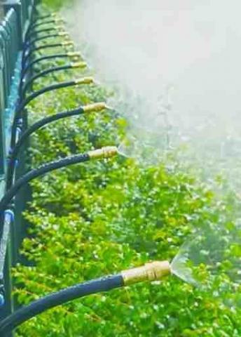 鈨程工程有限公司 - 灑水系統