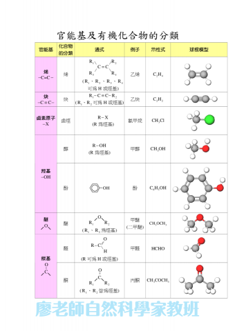 廖老師自然科學家教班 - 