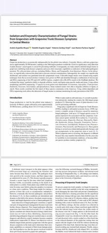 Anita Lee - 平時看的文章