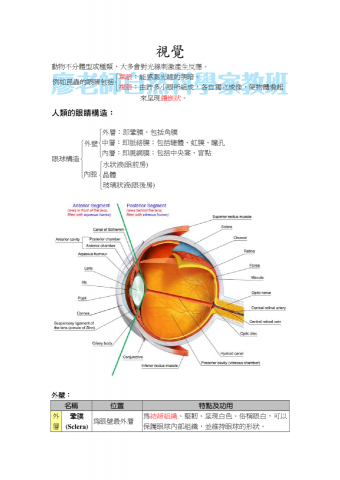 廖老師自然科學家教班 - 