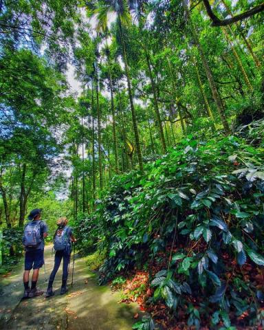 小司機帶你去 - 