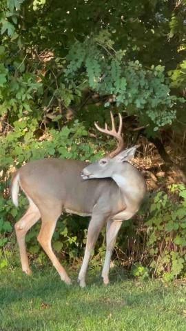 埔鹽籃球教練推薦PatrickLin