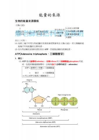 廖老師自然科學家教班 - 