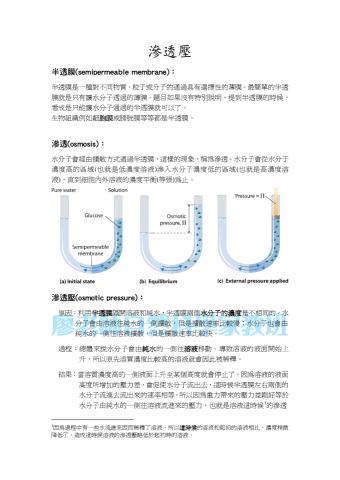廖老師自然科學家教班 - 