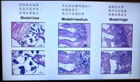 Anita Lee - 看paper並做成報告