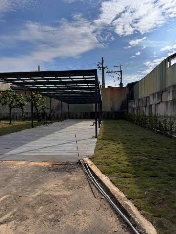 👑皇喬園藝《樹木修剪、伐木整地》 - 施工後