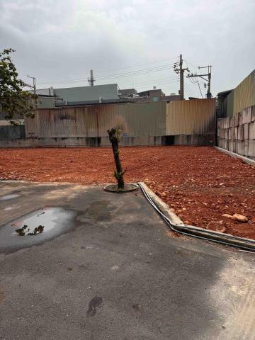 👑皇喬園藝《樹木修剪、伐木整地》 - 施工前