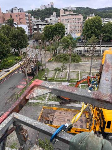 👑皇喬園藝《樹木修剪、伐木整地》 - 苗栗法院地檢署施工中