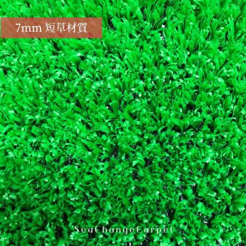 OYAN 奧揚地毯 - 人工草皮樣本